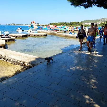 Toni Vodice